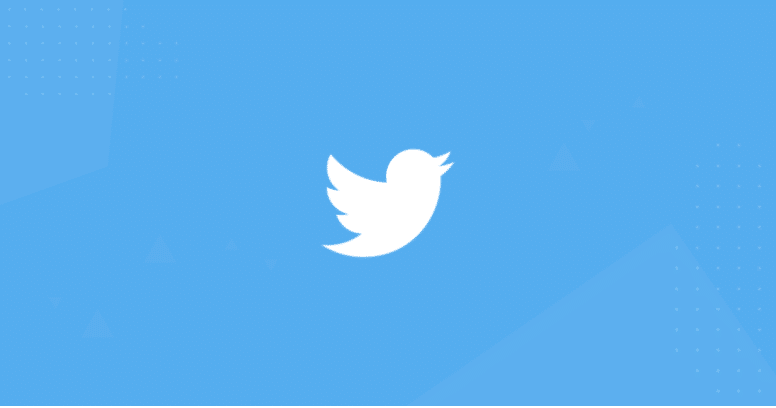 blue background with white bird