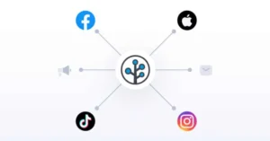 Media Mix Modeling (MMM) Offer for Mobile Apps