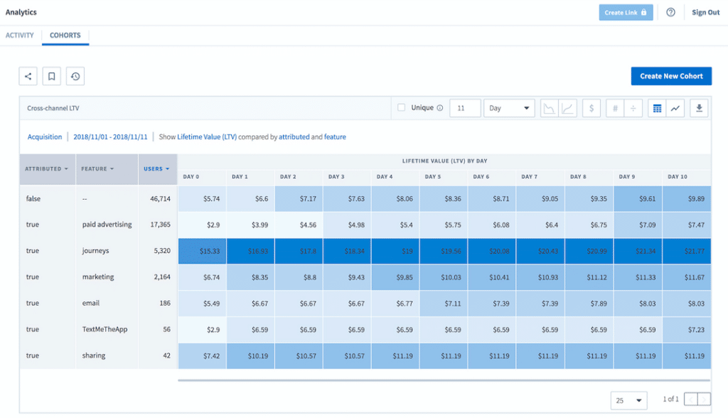 Branch Cohort Analysis Dashboard
