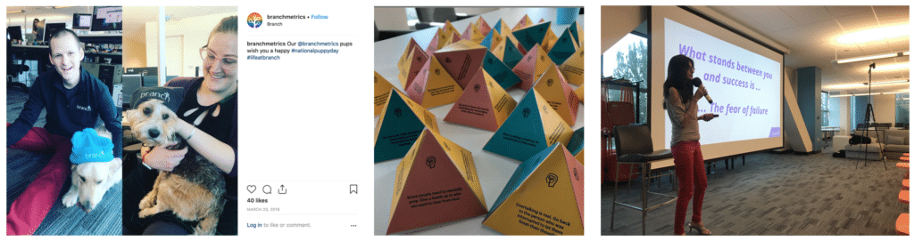 Dogs in branch hats, pyramid decorations, and a woman presenting