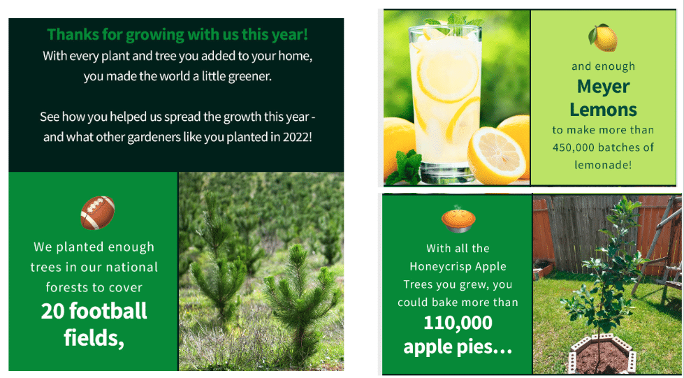 Screenshot of Fast Growing Trees "year in review" mail explaining milestones of how many trees were planted in national forests, including enough to cover 20 football fields, make more than 450,000 batches of lemonade, and 110,000 apple pies.