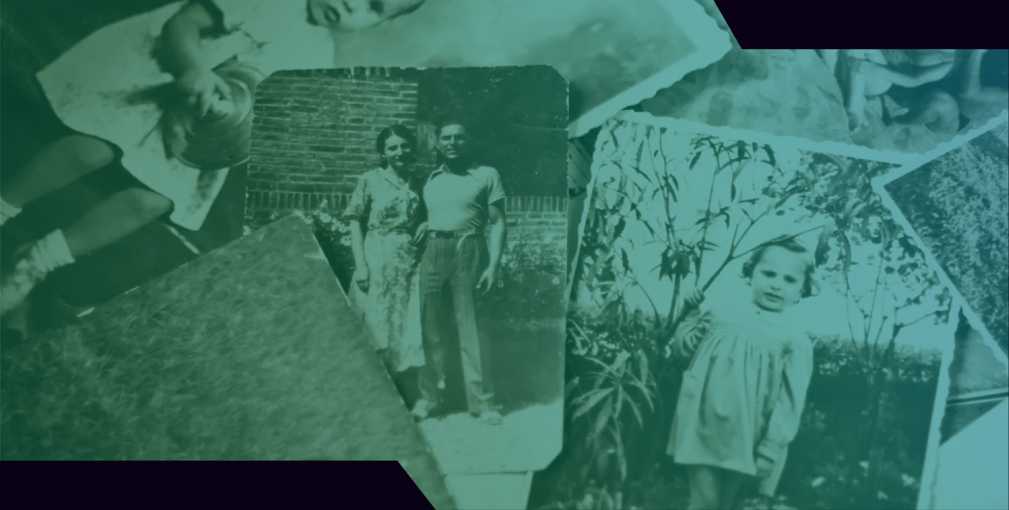 Decorative Image showing Ancestry brand