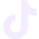 Tiktok Icon